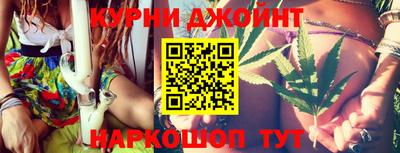 гидра Вязьма