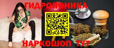 ГАЛЛЮЦИНОГЕННЫЕ ГРИБЫ Вязники