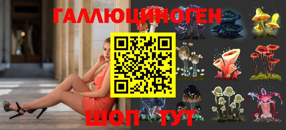 Галлюциногенные грибы Psilocybine cubensis  Вход с VPN  Грозный 